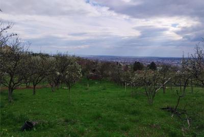RECO TEREN INTRAVILAN ZONA DEALURI ORADEA - 6