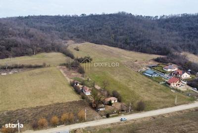 Casă cu 2 camere cu Teren 2200 Mp în Bereni - 1