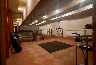 Baneasa, Sisesti, vanzare vila S+P+1E+M, renovata in 2014, 1576 mp teren, - 7
