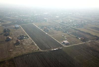 TEREN ZONA PADUREA BISTRA - 1