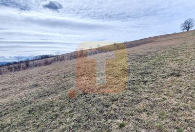 Teren intravilan de vânzare , 3600 mp – Piatra Neamț, zona Balaur - 12