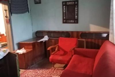Casă bătrânească deosebită Păltiniș, Botoșani - 9