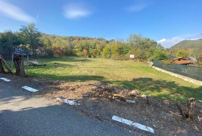 Teren Construcții intravilan de 3640 mp, în Central - 4