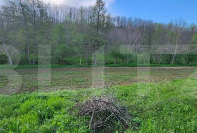 Teren de 6659 mp, în Nisipoasa - 11