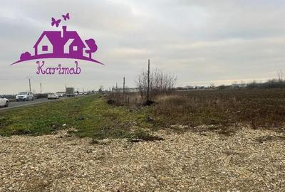 Teren de 6036 mp, în Nojorid - 2