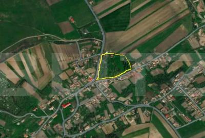 Cabana cu teren intravilan 18.449 mp Paingeni | 7,5 / - 1