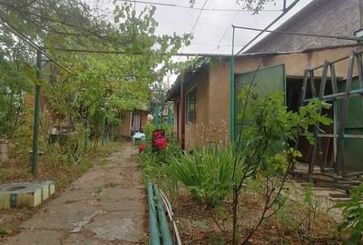 Teren de 340 mp, în Chitila - 4