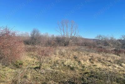Teren de 5300 mp, în Merișani - 1