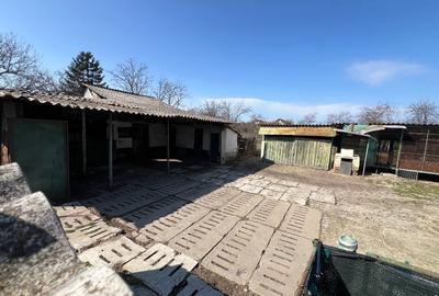 Casă individuală cu 5 camere cu Teren 1681 Mp în Birda - 16