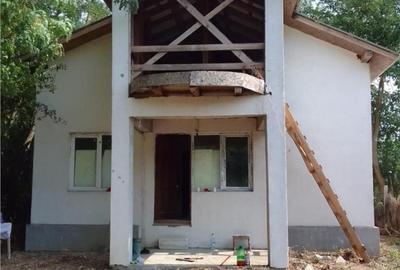 Casa P M si teren intravilan de in localitatea Patlageanca- - 8