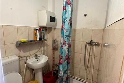 Garsoniera Piata Nicolina, baie cu dus si bucatarie in camera, langa Mathaus cu - 4