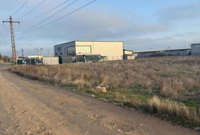 Teren intravilan , 3000 mp , deschidere 78 m, zona Carcea - 5