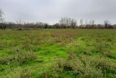 BARCANESTI -  casa +curte+teren 16k mp - 47