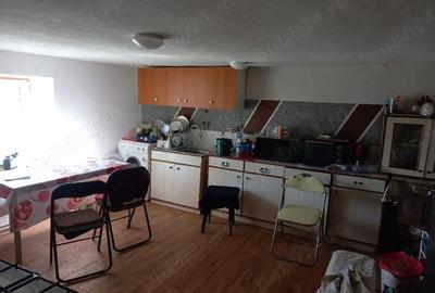 Casă cu Teren 6996 Mp în Cerișor - 7