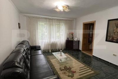 2 CASE, 300mp/700mp, teren 30 ari, zona strada Botizului - 14