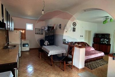 Casa de vanzare cu  teren de 3.869 mp in Cosniciu de Jos /Ip, Salaj - 8