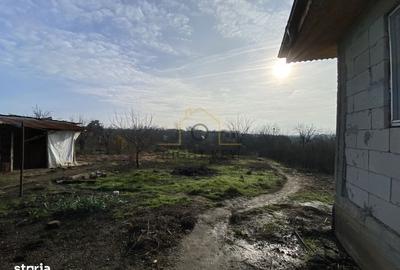 Casă cu 4 camere cu Teren 1600 Mp în Petru Rareș - 1