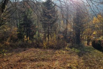 Spațiu comercial, în Catalina - 4