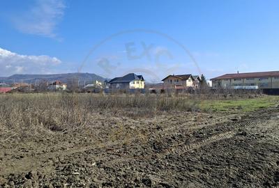 Teren Construcții intravilan de 3633 mp, în Ștefănești - 7