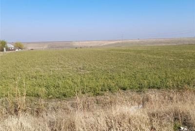 Teren de 15000 mp, în Sud - 3