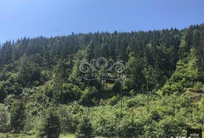Teren de 63000 mp, în Bughea de Sus - 1