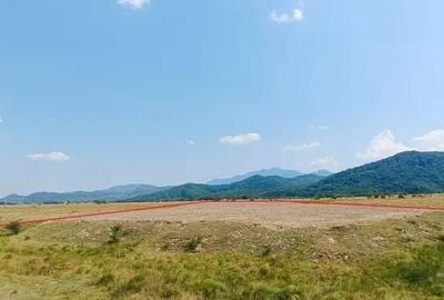 Spațiu comercial, în Drumul Carului - 3