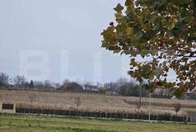 Teren de 4400 mp, în Dărmănești - 2