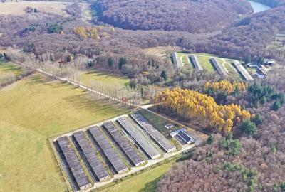 Teren Intravilan - Amplasare Unica - 20