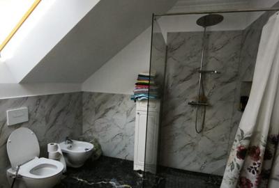 Casa cu 8 camere, 750 mp teren , Radauti - 17