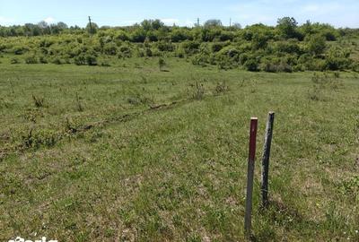 Teren de 5000 mp, în Calea Aradului - 2