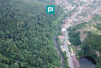 Teren Intravilan, in ora?ul Sebi?, Arad - 3