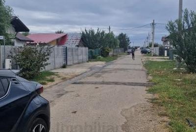 Pensiune Silistea Snagovului - 18