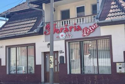 Spațiu comercial, de 120 mp, în Târnăveni - 8