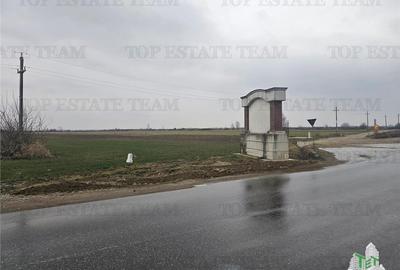 Teren comercial 7169mp la baza nod km35 pe A1 - 8