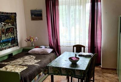 Casă cu 4 camere cu Teren 3113 Mp în Otelec - 16