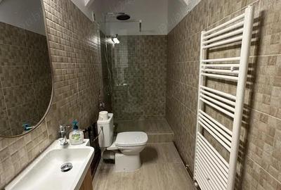 Apartament cu 2 camere nedecomandat, mobilat în P-ța Unirii