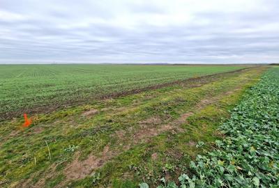 Teren agricol extravilan de 20141 mp, în Aeroport
