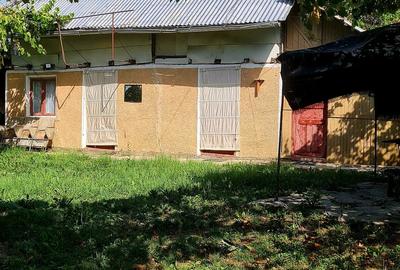 Teren cu casa in Cobia - 6