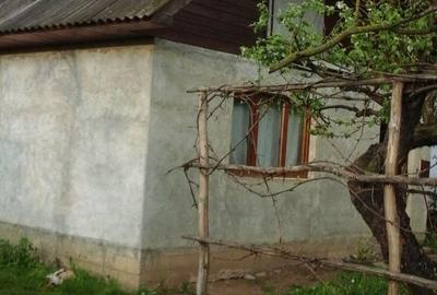 Casă cu 3 camere în Păltiniș - 7