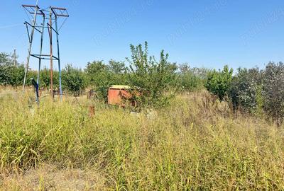 Casa de vanzare Sat Vieru, Giurgiu - 6