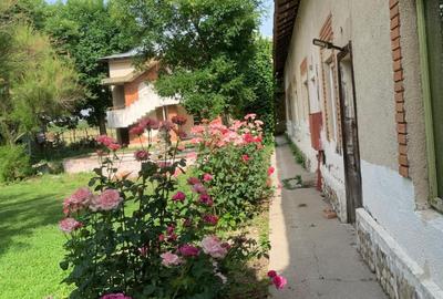 Teren intravilan de 490000 mp, în Iancu Jianu - 21