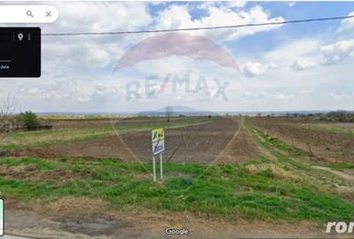 Teren de 7000 mp, în Oancea - 1
