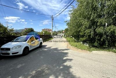Teren Viisoara - comuna Alexandru cel Bun - 2