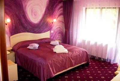 Casă individuală cu 19 camere cu Teren 557 Mp în Predeal - 5