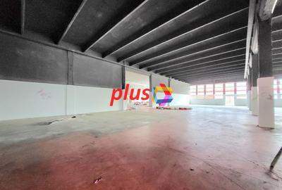 Show room - 600 mp #Plus-imo.ro - 4