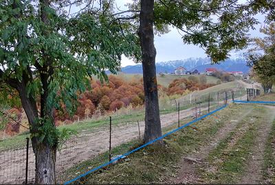 2000 mp, teren intravilan Pestera, Brasov, comision 0% - 11