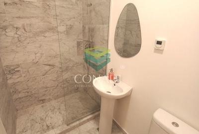 Apartament deosebit 3 camere //Nordului-Herastrau - 25