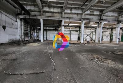 Hala - 1137 mp  # plus-imo.ro - 5