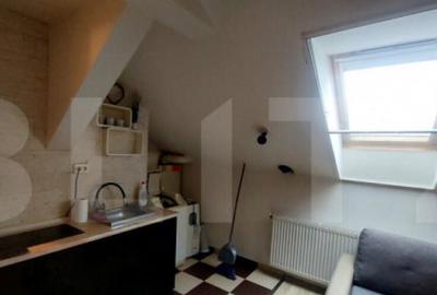 Garsoniera mansardata, zona Iosefin - 2