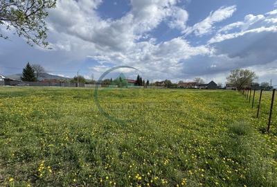 Teren Sat Bacel 6200 mp - 6